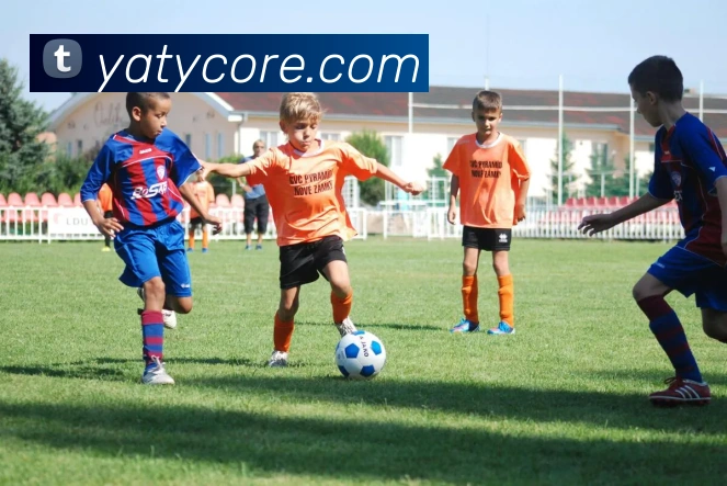 意昂体育APP 封面图